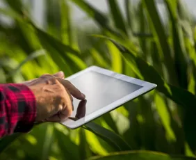 Imagem ilustrativa da imagem Da cafeicultura ao agronegócio: mais de 170 vagas em cursos técnicos de graça