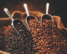 Imagem ilustrativa da imagem ES deve produzir 1 em cada 4 sacas de café da safra recorde do Brasil