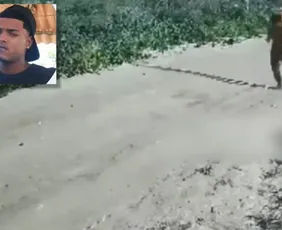 Imagem ilustrativa da imagem Jovem que estava desaparecido é encontrado morto em São Mateus