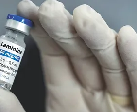 Imagem ilustrativa da imagem Laboratório anuncia novos estudos clínicos com polilaminina