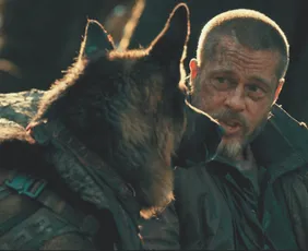 Imagem ilustrativa da imagem Luta pela sobrevivência com Brad Pitt chega aos cinemas