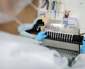 Imagem ilustrativa da imagem Malária: Anvisa autoriza teste em humanos de vacina 100% brasileira