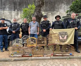 Imagem ilustrativa da imagem Pássaros silvestres são apreendidos em cativeiro ilegal em Vila Velha