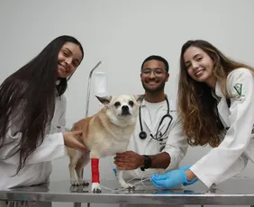Imagem ilustrativa da imagem Temporada de vestibulares com novas opções de cursos; confira