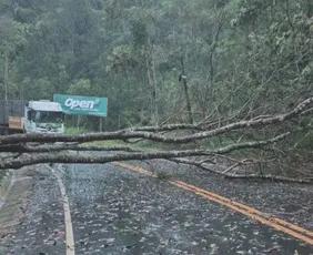 Imagem ilustrativa da imagem Temporal causa estragos no ES; chuva vai até domingo