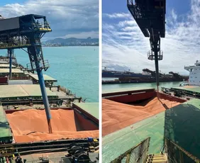 Imagem ilustrativa da imagem VLI inicia exportação de sorgo pelo ES com 160 mil toneladas para a China