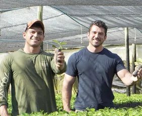 Imagem ilustrativa da imagem Viveiro Babilon produz 24 milhões de mudas de café por ano