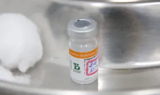 Imagem ilustrativa da imagem Butantan retoma produção da CoronaVac para imunizar crianças