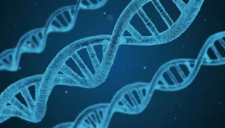 Imagem ilustrativa da imagem Novas técnicas e informações sobre o DNA trazem mais precisão