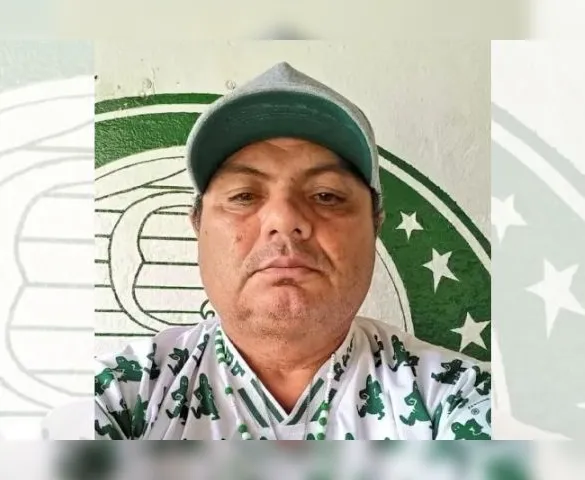 Imagem ilustrativa da imagem Torcedor do Palmeiras morre de infarto logo após decisão por pênaltis
