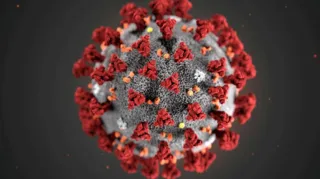 Imagem ilustrativa da imagem Cientistas brasileiros identificam possível antiviral para tratamento da Covid