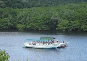 Imagem ilustrativa da imagem Passeios em Aracruz para conhecer praias e manguezal