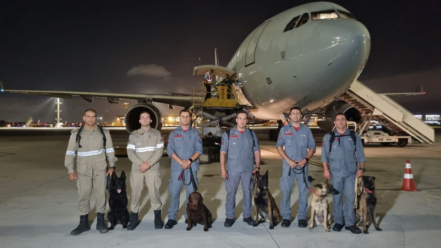 ES envia bombeiros e cadela especialista em buscas para ajudar em resgate  na Turquia, Espírito Santo