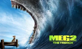 Imagem ilustrativa da imagem Adrenalina e suspense na volta do tubarão gigante