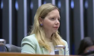 Imagem ilustrativa da imagem Câmara quer mais deputados após censo apontar revés