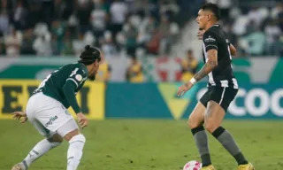 Imagem ilustrativa da imagem Palmeiras recebe o Botafogo pelo Campeonato Brasileiro