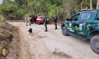 Imagem ilustrativa da imagem Polícia encontra sangue em veículo durante buscas em Sooretama