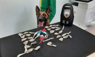 Imagem ilustrativa da imagem Suspeitos de tráfico de drogas são presos durante operação no Sul do ES