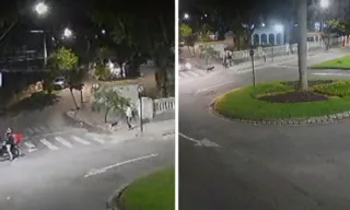 Imagem ilustrativa da imagem VÍDEO | Cadela é atacada por cachorros enquanto passeava com tutora em Vitória