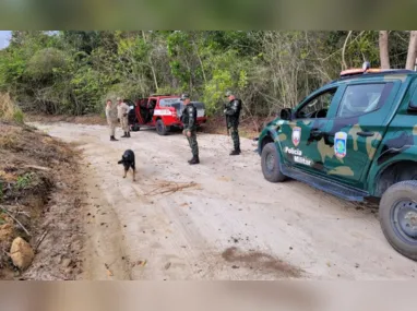 Imagem ilustrativa da imagem Polícia encontra sangue em veículo durante buscas em Sooretama