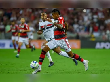 O estádio Nilton Santos está sob concessão ao Botafogo