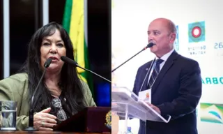 Imagem ilustrativa da imagem O pulo da gata no MDB