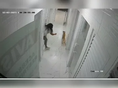 Imagem ilustrativa da imagem Caso Nala: imagens mostram como aconteceu fuga da cadela em clínica veterinária
