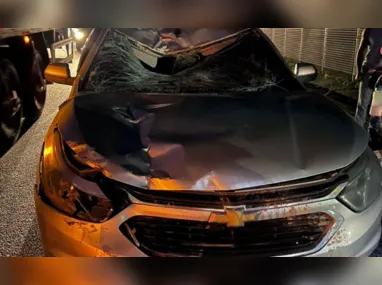 Imagem ilustrativa da imagem ES: Acidentes na BR-101 deixam dois ciclistas mortos