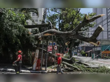 Estragos causados pela chuva em São Paulo