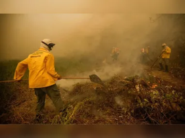 Imagem ilustrativa da imagem Incêndio atinge há um mês reserva amazônica no Amapá