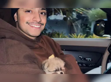 Imagem ilustrativa da imagem Influenciador descobre que cachorro foi atropelado durante transmissão ao vivo