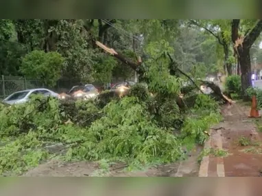 Passageira morreu durante voo e corpo ficou no assento por horas até o avião pousar no Brasil