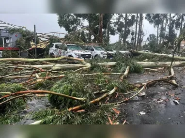 Imagem ilustrativa da imagem Prejuízos após temporal em Itaguaçu