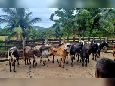 Fuzil camuflado apreendido na ação (nas costas do policial)