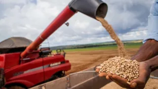 Imagem ilustrativa da imagem Exportação agropecuária do Brasil atinge valor recorde