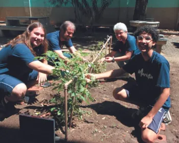 Imagem ilustrativa da imagem Estudantes desenvolvem projeto de irrigação para plantação de tomates