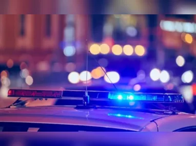 Drogas apreendidas pela polícia