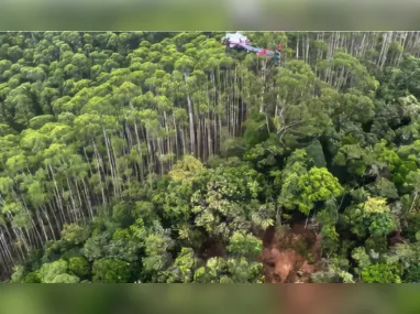 Imagem ilustrativa da imagem Autoridades de SP confirmam a morte dos quatro ocupantes de helicóptero