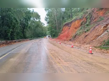 No bairro Nova Brasília, em Cachoeiro de Itapemirim, a queda de uma árvore atingiu pelo menos três veículos