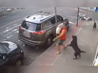 Imagem ilustrativa da imagem Cães rottweilers atacam homem que passeava com cachorro na Praia do Suá