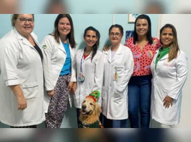 Imagem ilustrativa da imagem "Cãoterapeuta" visita crianças internadas no Hospital Infantil de Vitória