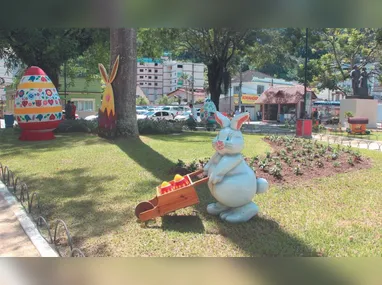 Cruzeiro marítimo: estudo para apontar a viabilidade do Estado voltar a fazer parte da rota de viajantes pelo mar