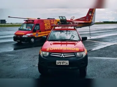 Gato vira-lata: começa hoje concurso para eleger o pet felino mais bonito