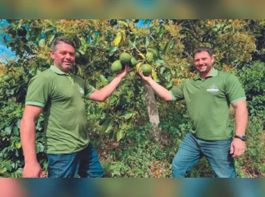 Gabriel Benincá  com o pai e pecuarista Osvaldo Benincá, o Nego, que ordenha a vaca em fazenda (à direita)