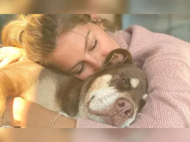Imagem ilustrativa da imagem Gisele Bündchen e Tom Brady lamentam morte da cachorra da família: 'Anjo da guarda'