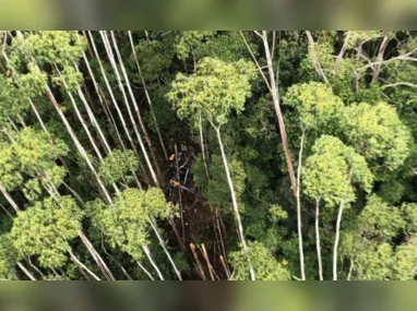 Imagem ilustrativa da imagem Helicóptero que caiu com 4 tripulantes bateu em vegetação durante o voo, diz Cenipa