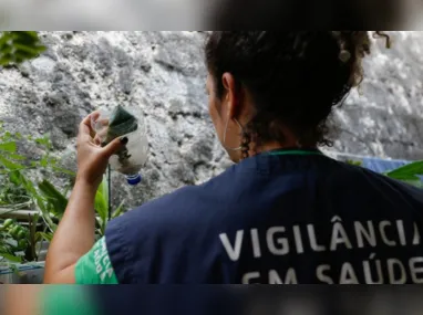 Imagem ilustrativa da imagem Minas Gerais deve atingir pico da dengue em março