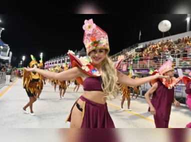 Imagem ilustrativa da imagem Rosas de Ouro é campeã do Grupo de Acesso B do Carnaval de Vitória