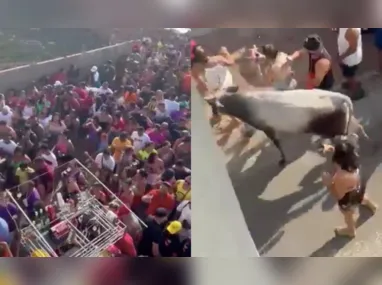 Imagem ilustrativa da imagem VÍDEO | Vaca assustada invade carnaval de rua e deixa três feridos
