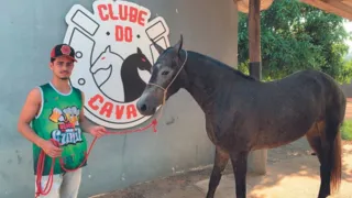 Imagem ilustrativa da imagem Cavalos movimentam R$ 13 milhões no ES